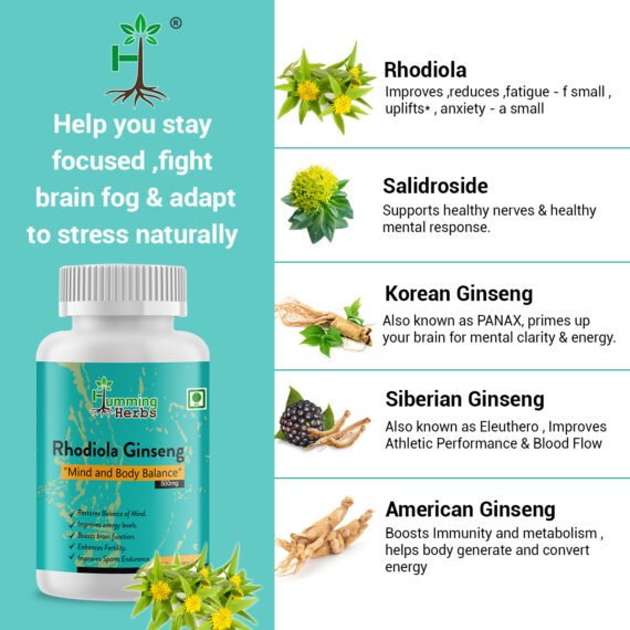 rhodiola rosear capsules supplement help you stay focused fight brain fog and adapt to stress naturally
