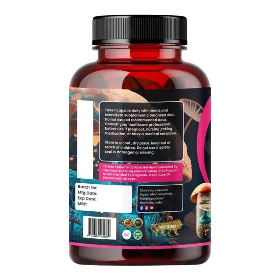 Reishi Mushroom 90