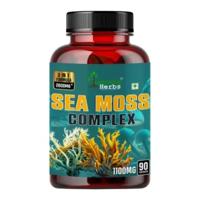 Sea Moss