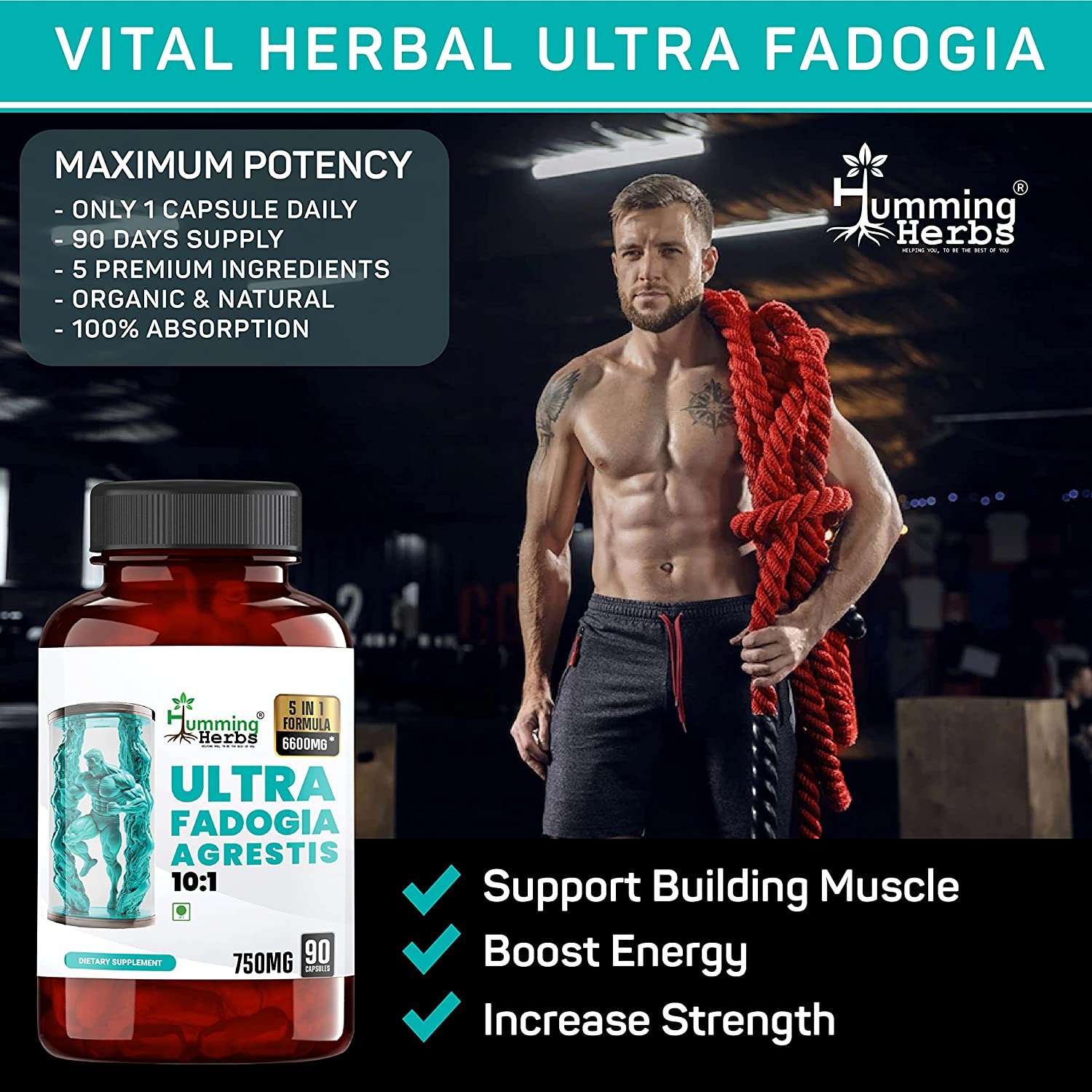ultra fadogia vital herbal