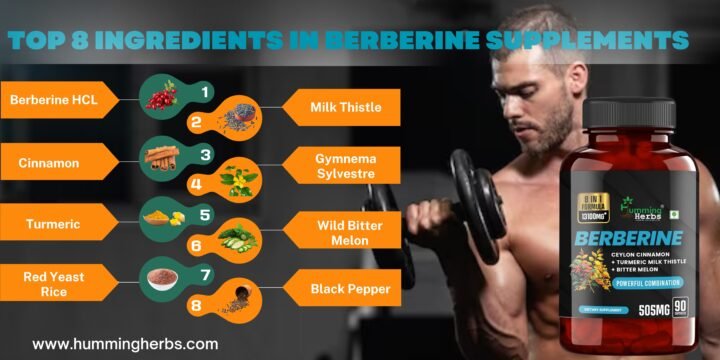 ingredients-in-berberine-supplements