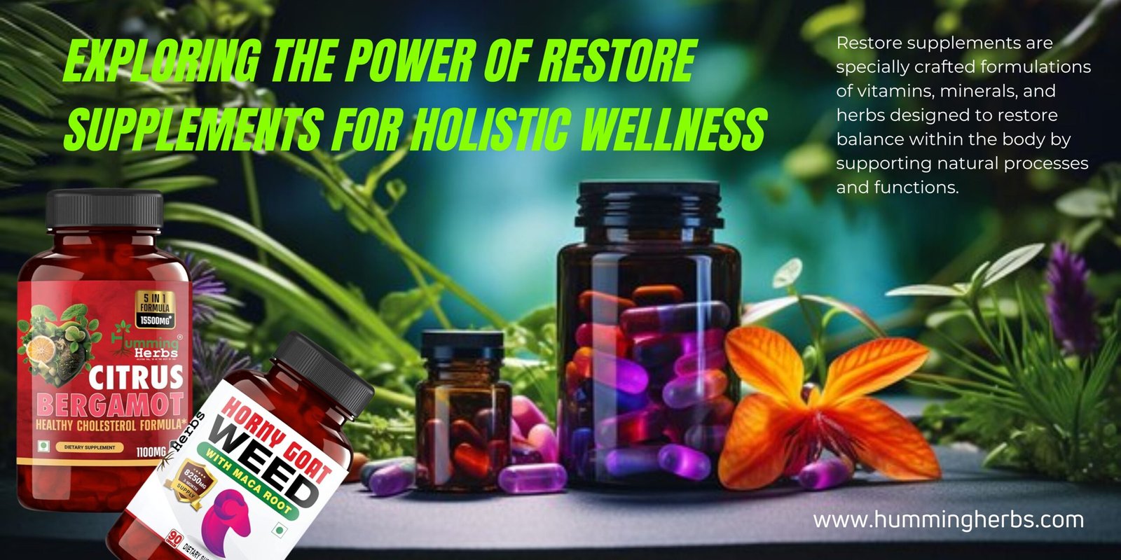 Exploring the Power of Restore Supplements for Holistic Wellness