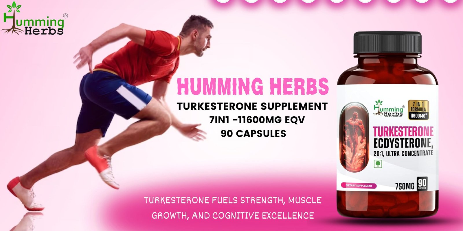 Top Ingredients In Turkesterone Supplements For Optimal Performance