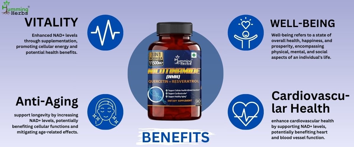 Benefits of NMN Supplements : The Power of NAD+