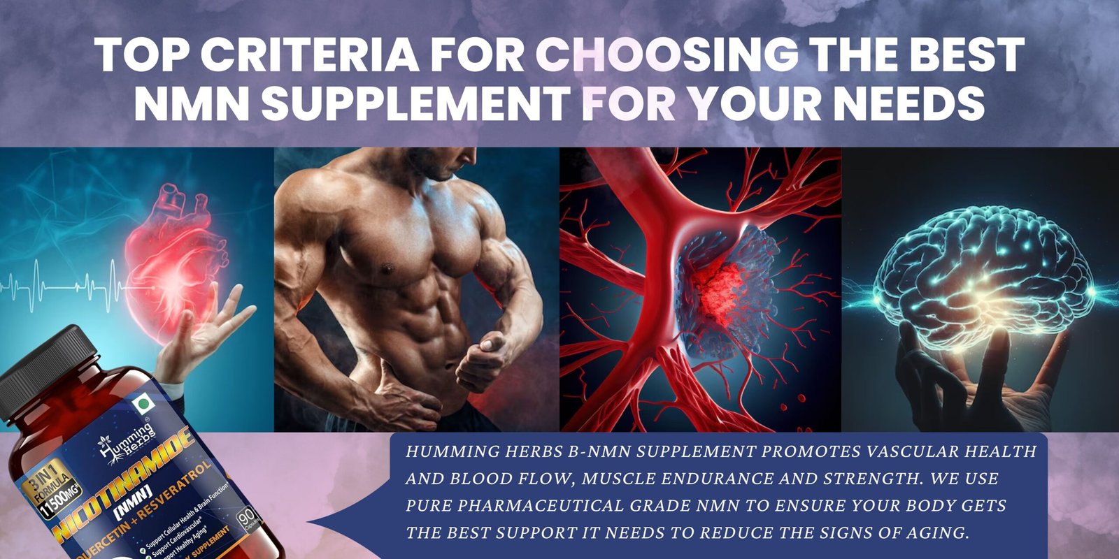 Top Criteria for Choosing the Best NMN Supplement for Your Needs