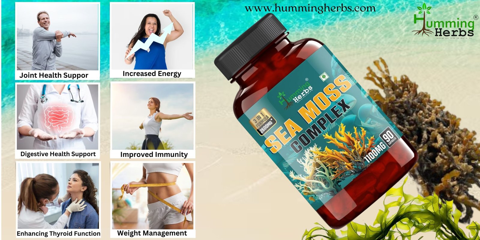 Top 10 Benefits of Sea Moss Supplements: Unlocking the Power of the Ocean