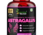 Astragalus Root Extract Capsules