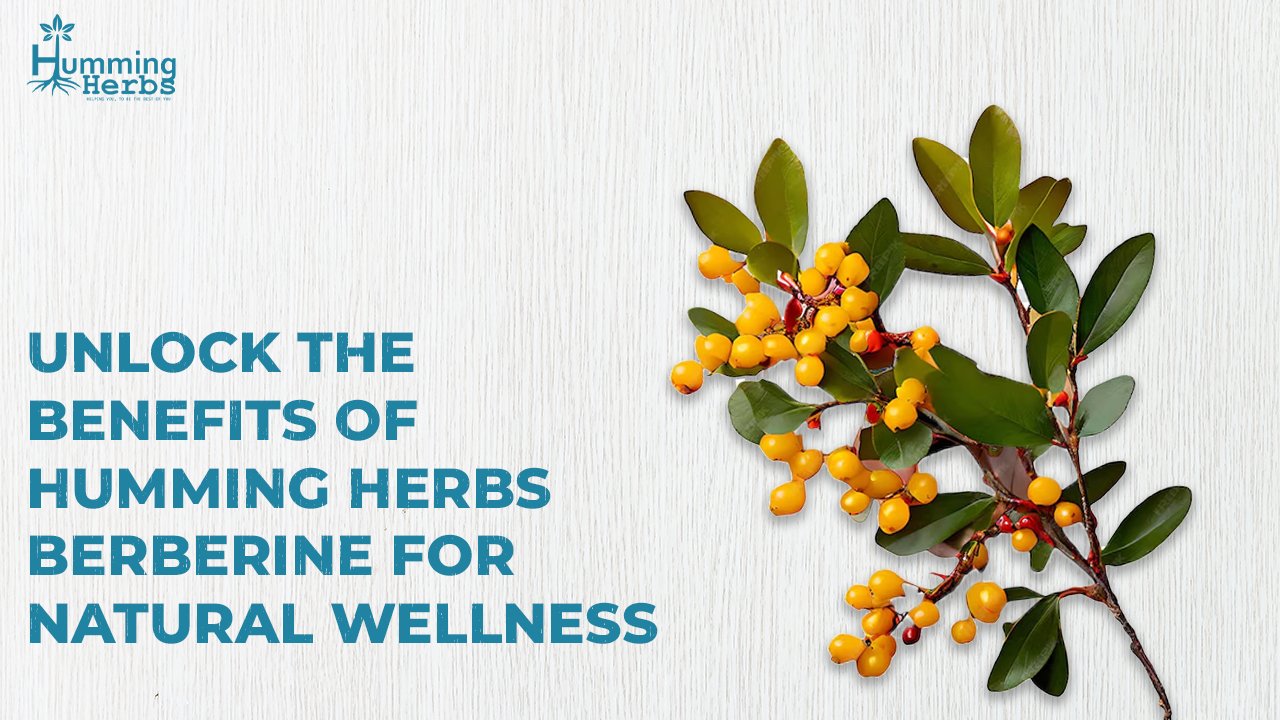 Unlock the Benefits of Humming Herbs Berberine Supplements for Natural Wellness.