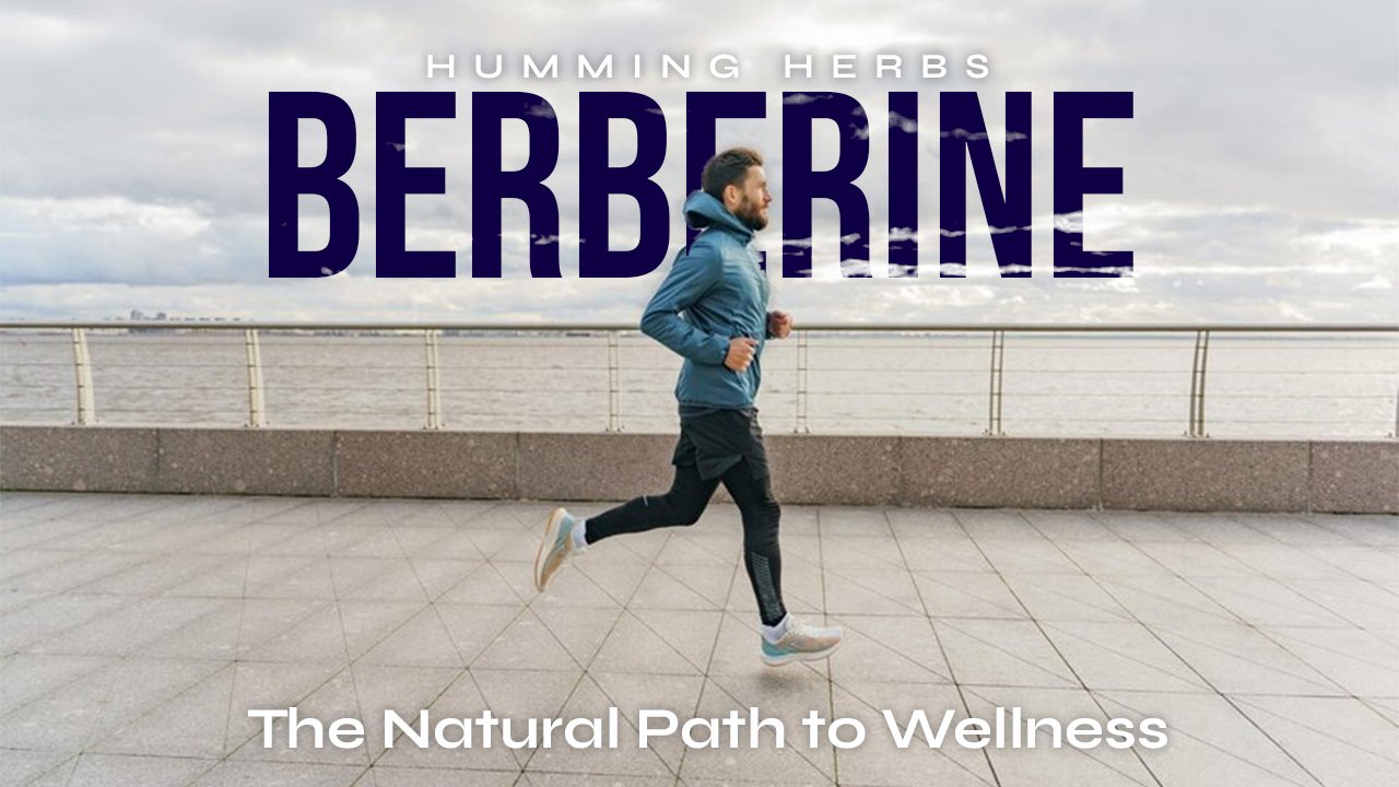 Discover Humming Herbs Berberine Capsules Today