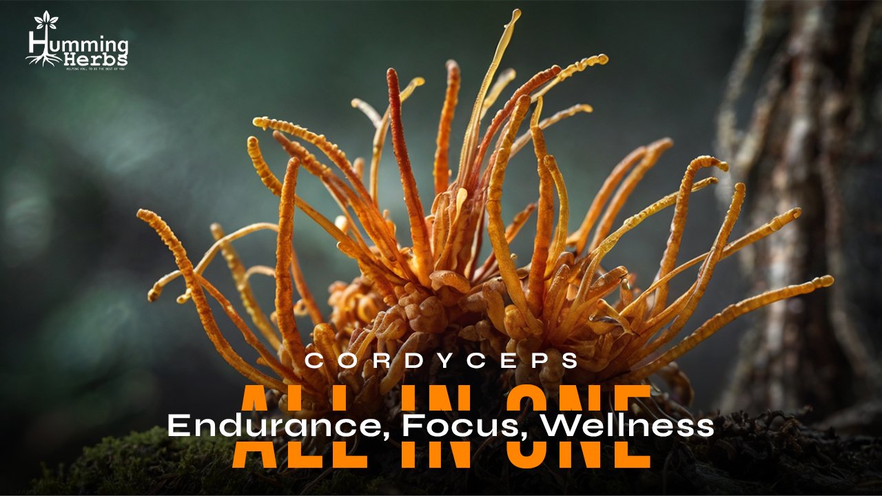 Cordyceps Supplement: Boost Your Energy and Vitality