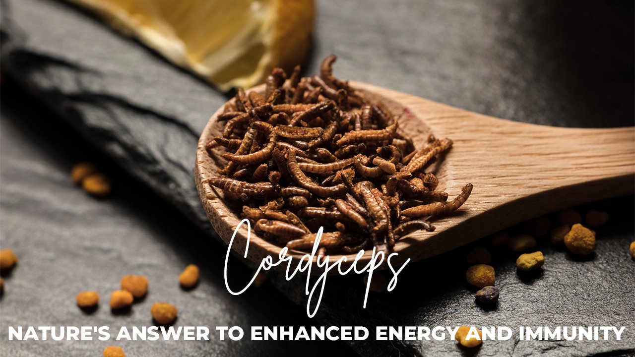 Cordyceps Herbal Supplement: Natural Wellness and Performance