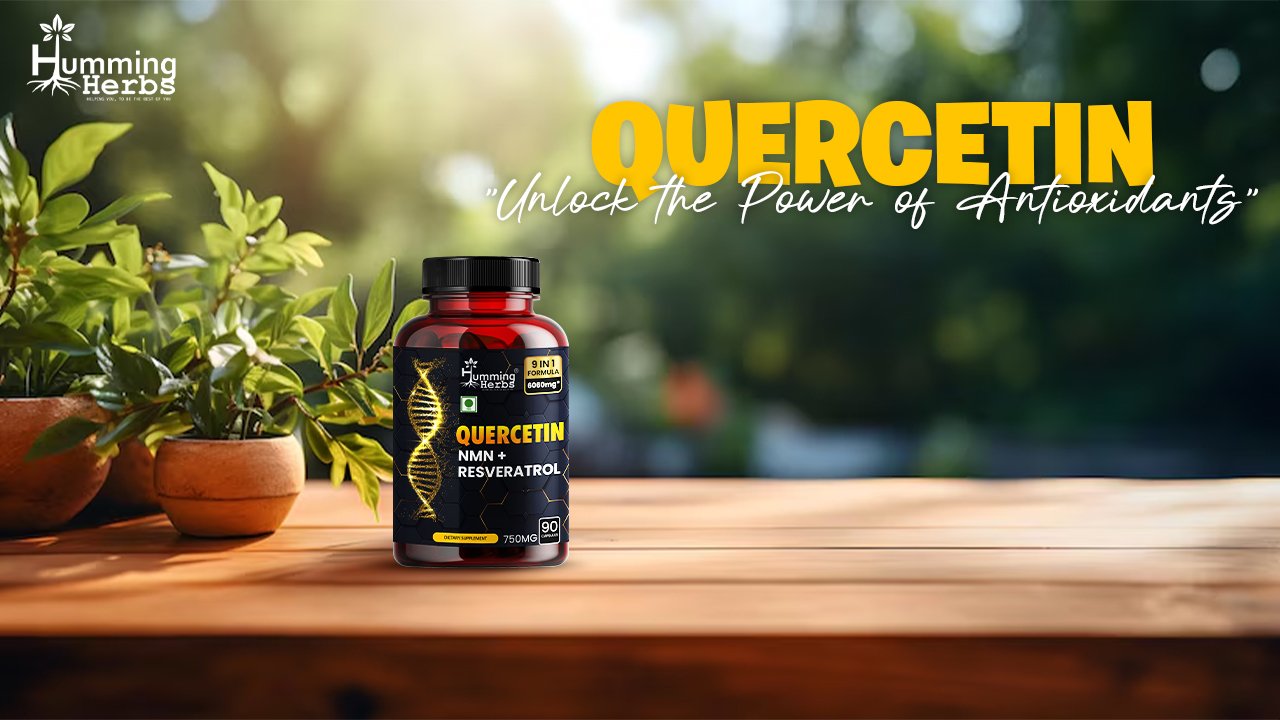 Find the Best Quercetin Supplement for Better Health