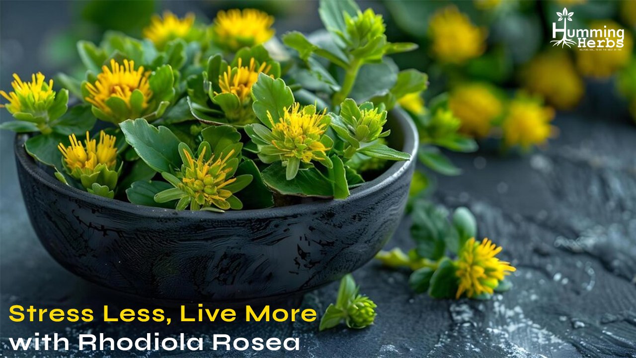 Triple Ginseng and Rhodiola Supplement: Enhance Your Vitality