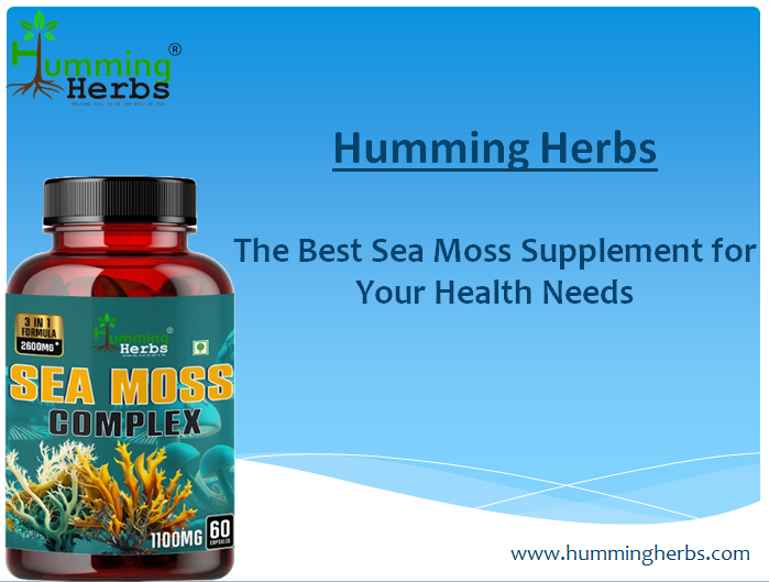 Discover the Best Sea Moss Supplement for Your Health Needs