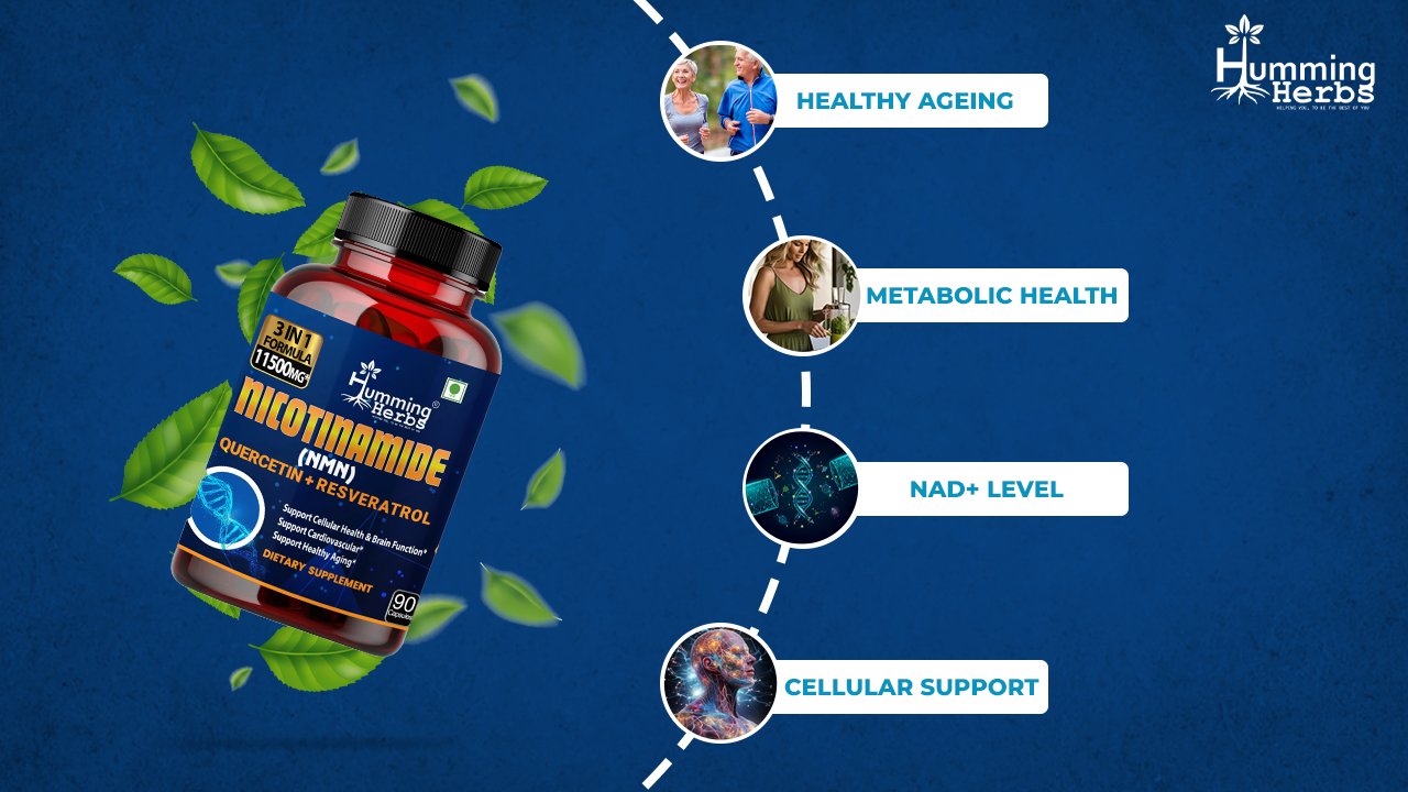 buy NMN supplement