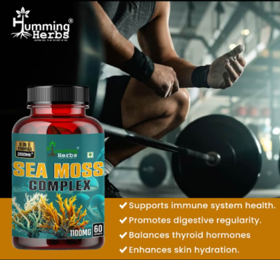 sea-moss-supplement