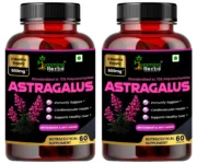 Astragalus Pack of 2 Front