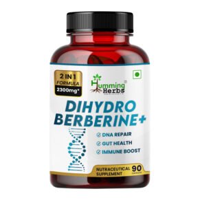 dihydroberberine-supplement-gut-health-immune-boost