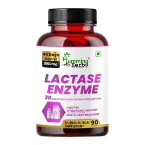 Lactase Enzyme Supplement for Improved Dairy Digestion - 90 Capsules