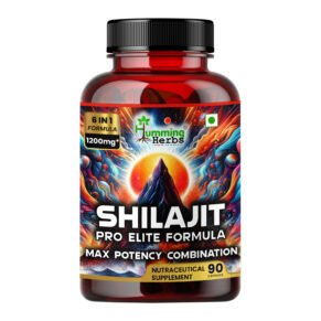 Shilajit Max Potency Supplement