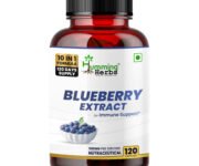 Blueberry Extract | 120 Capsules